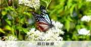 生物多様性「知っている」7割超に 気候変動で関心高まる 内閣府調査