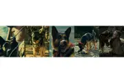 ブラッド・ピット主演『ハート・オブ・ビースト』特別映像とスチール5点公開