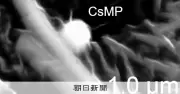 福島第一原発事故の「セシウムボール」、大量放出の時期と飛散経路を解明