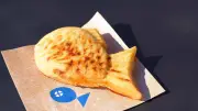 ＜主張＞「魅了ギョ」計画 魚食で漁業と海を守ろう