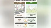 鶏の飼育環境で卵の味が変化、平飼いとケージ飼いで成分に差 東京農工大など発表