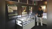 大野市で恐竜化石発見30年企画展、新種発見への期待も