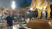 恐竜人気で運搬費高騰、ブラックビューティー展は約34万人動員　福井県立恐竜博物館副館長