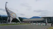恐竜博物館、来館者のモチベーションを上げる「空間全体」が評価