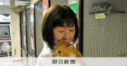 犬猫の殺処分、10年で9割減も「ゼロ」遠い地域差　青森など5県で減少率80%未満