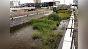 西鉄柳川駅前からどんこ舟川下り、27年6月に延伸完了後開始へ