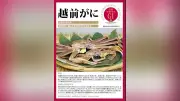 越前がに返礼品除外で漁師ら風評被害懸念、町が説明会