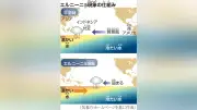 エルニーニョ現象、来年２月まで続く見通し…４９００万人が深刻な食料不足の恐れ