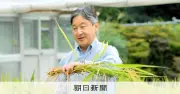 天皇陛下、皇居で稲刈り　もち米など20株を収穫、作柄は平年並み