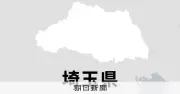 鍼灸・指圧治療院兼住宅で火災、夫婦とみられる男女2人死亡 埼玉・寄居町