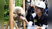 「五感でふれる」動物との対話 アドベンチャーワールドのふれあい広場
