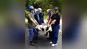林業従事者のけがに備えレスキュー訓練 岐阜・下呂市で約40人参加