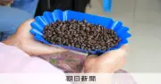 ケシ畑からコーヒー農園へ　ミャンマー元麻薬農家女性の転身