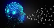 Google、AIの「見つけた」を鵜のみにせず誤検知ほぼゼロで脆弱性500件超を発見した検証の仕組み
