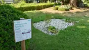 グリーンインフラで都市型水害に備え 自然の機能を街に取り入れ