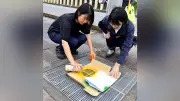 芳賀町、グレーチング盗難防止に特産ナシのマーク描く