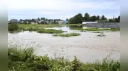 収穫目前の水田冠水、青森市と五所川原市で緊急安全確保 床上浸水21棟