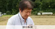 能登豪雨2年、珠洲の水田に大量の石 農業法人「何もしなければ農地は消える」