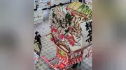 柳井金魚ちょうちんのルーツ弘前ねぷた、市役所で展示 高さ4メートル