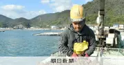 広島のカキ水揚げ11月2日解禁、猛暑で昨季より13日遅く