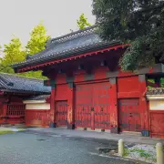 東大生が実践する「知識を動かす」訓練とは？入試問題から読み解く地頭力の正体