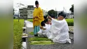 伊勢神宮で抜穂祭、実りに感謝し御料米を収穫