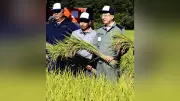 達増知事、九戸村で「白銀のひかり」稲刈り　作付面積は昨年の約4倍