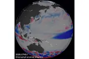 植物プランクトンの半年後の増減予測に成功、JAMSTECが世界初の成果