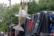 閉園のカナダ水族館から移送の海洋哺乳類、相次ぎ死ぬ 元トレーナーが飼育環境を批判