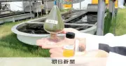 マツダ、エンジン車脱炭素へ藻類バイオ燃料研究やCO2回収技術を推進