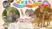 MISIA「ガムシャラ」がネコ科動物と共演！『劇場版ダーウィンが来た！』特別映像公開