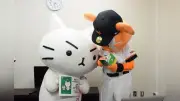 「猫ピッチャー」20巻PRでミー太郎が東京ドーム突撃、ジャイアンツ選手とサプライズ交流