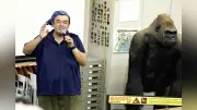 「休猿」前に動物動画上映 愛知・犬山の日本モンキーセンター 50種紹介