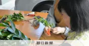 お供えのサカキ、多くは中国産 国内産地の現場を歩く