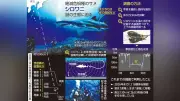 小笠原のシロワニ保護へ生態調査、発信機で移動確認