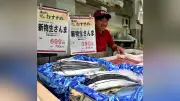 サンマ不漁で価格高騰、水揚げ8割減 資源量も過去最低に