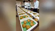 高崎・榛名でナシ品評会、49農家が80点出品し品種ごとに最優秀賞