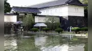 東京都心で33日連続雨、統計開始以降最長タイ 9月降水量は平年の3倍近く