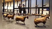 鞆の浦deART2026開幕、20組の現代アートを10会場で展示