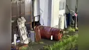 舞鶴市でクマ２頭を緊急銃猟で駆除　府内初、住宅軒下に居座り