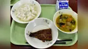 鹿屋市の全小中学校給食にウナギのかば焼き、大隅産約2500匹を初提供