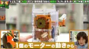 有隣堂「すごい付録」特集、ちくわクッションや本格鳩時計など4商品を紹介