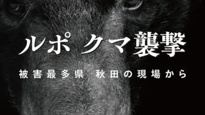 クマ襲撃の最前線・秋田を描く『ルポ　クマ襲撃』書評