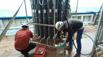 深海の炭素固定、主役不在の謎 少数派の「食べる側」細菌が鍵 北海道大など解明