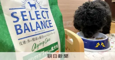 ペットフード値下げ制限疑い、公取委がベッツ・チョイス・ジャパンを立ち入り検査