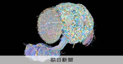 ハエに縦列駐車やルービックキューブをさせる？ グーグル公開の神経回路図でシミュレーションが話題に