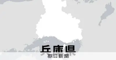 布団太鼓が街路樹に接触、中学生ら5人重軽傷 神戸・垂水の秋祭り