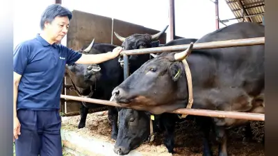 ハラル対応で輸出拡大、常陸牛は3倍超・醤油やホタテも認証取得