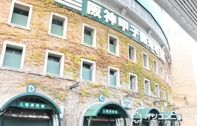 阪神連覇で関西テレビ各局が特番体制 最速はサンテレビ