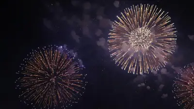 「いばらきの花火」県伝統工芸品に指定、ユネスコ無形文化遺産目指す